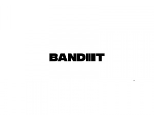 Bandit Bikes logo