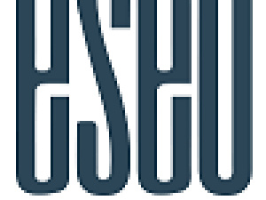 SEO Services for Small Business in USA logo