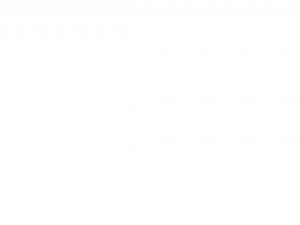 Full Opportunities logo