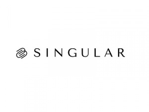 Singular Global logo