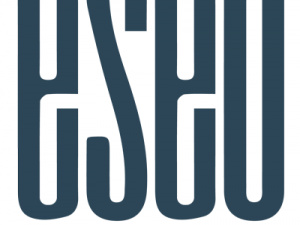 Optimize, Rank, Sell: eSEO Agency's Tailored WooCommerce Solutions