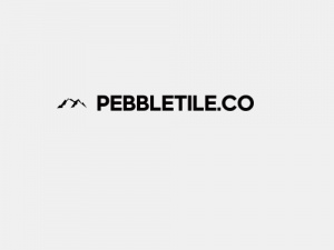 Bless Oversea Inc logo