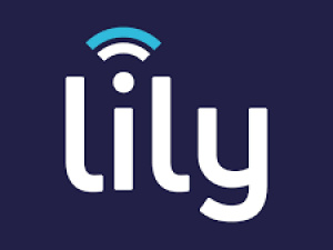 Digital Transformation Company, Telecommunications Leeds|Lily Comms logo