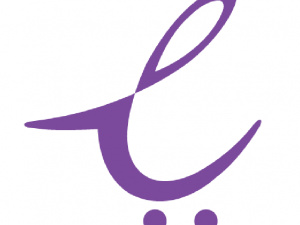 EcomNext.ai logo