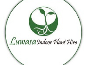 Luwasa Indoor Plant Hire