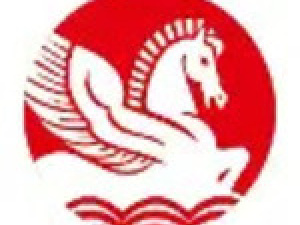 Singhal Industries Private Limited