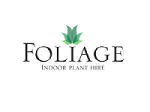 Foliage Indoor Plant Hire