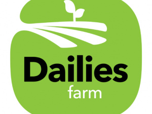 Dailies farm 