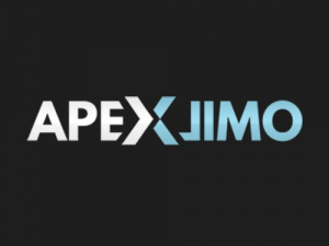 Apex International Transportation