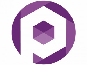Platinum SEO Services logo